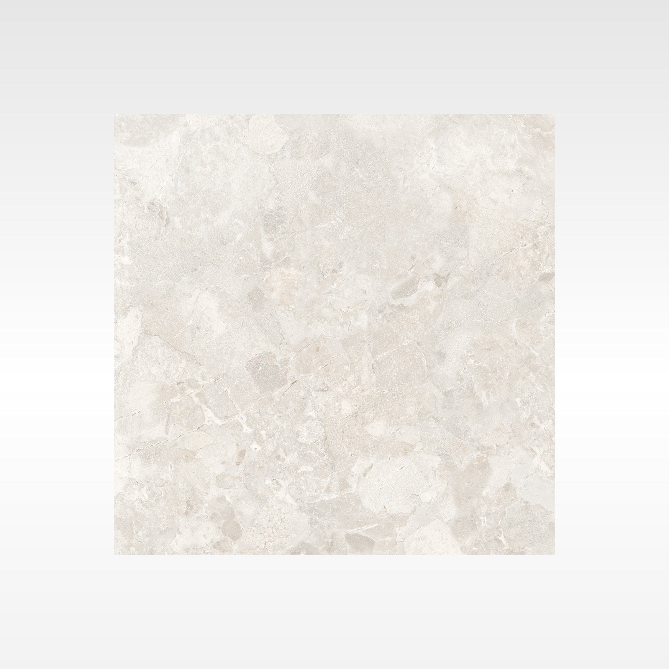 BH352 Palermo White 600 x 600 Soft Matt
