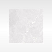 BH325 EPIC SILVER 600 X 600 POLISH