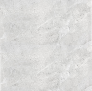 BT1118 ARMANI SMOKEY 600X600 POLISHED