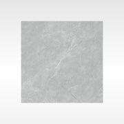 BH371 Aura Grey 600x600 Polish