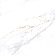 BHCS132 600X600 POLISHED