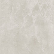 BHCS4 ELEGANT L GREY 600X600 POLISHED