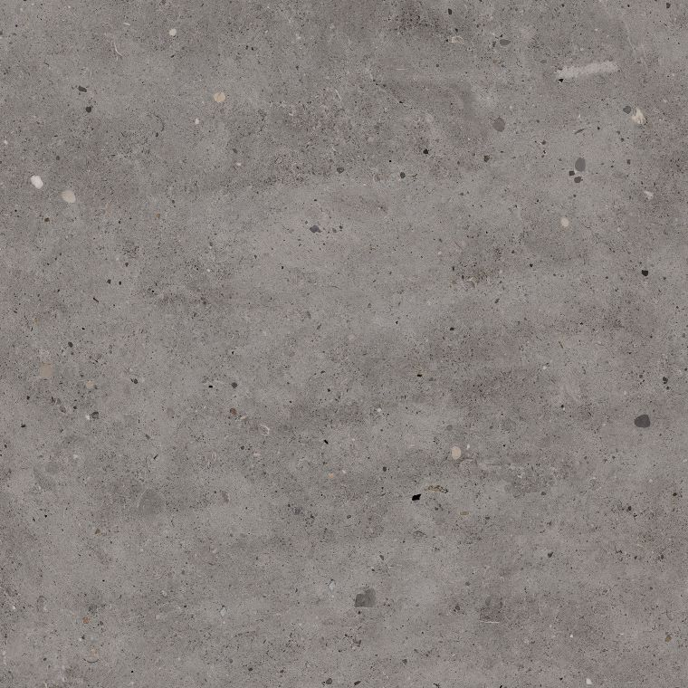BHCV74 SAPAIN ASHS 600X600 MATT