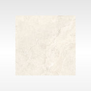 BHF301 ALPINE SILVER 600X600 MATT