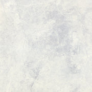 BT4032 PARADISE TUNDRA WHITE 600X600	POLISHED