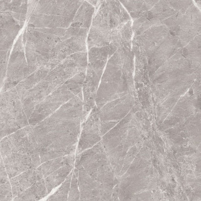 BT572 STONE POLISH D GREY 600X600 POLISHED