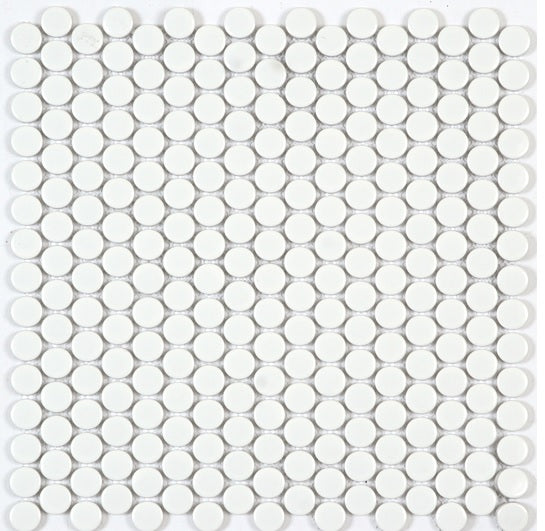 BT643 WHITE PENNY POLISHED