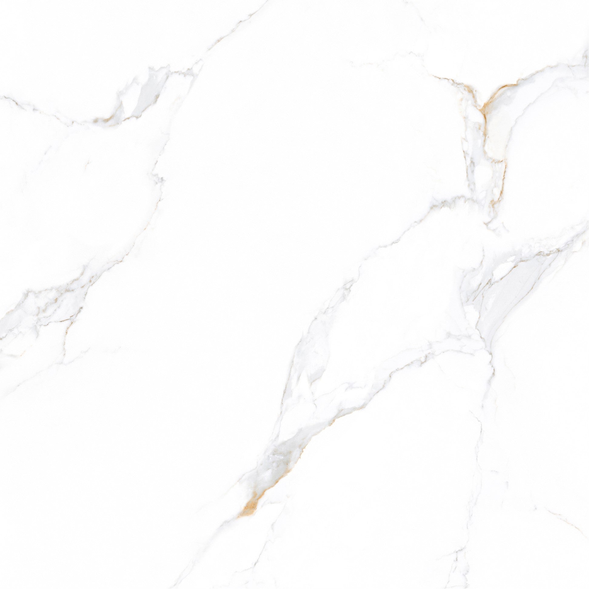 BT820 CALCUTTA MARBLE POLISH	600X600MM