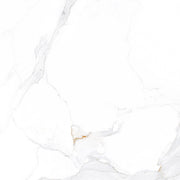 BT821 CALCUTTA MARBLE SATIN 600X600MM