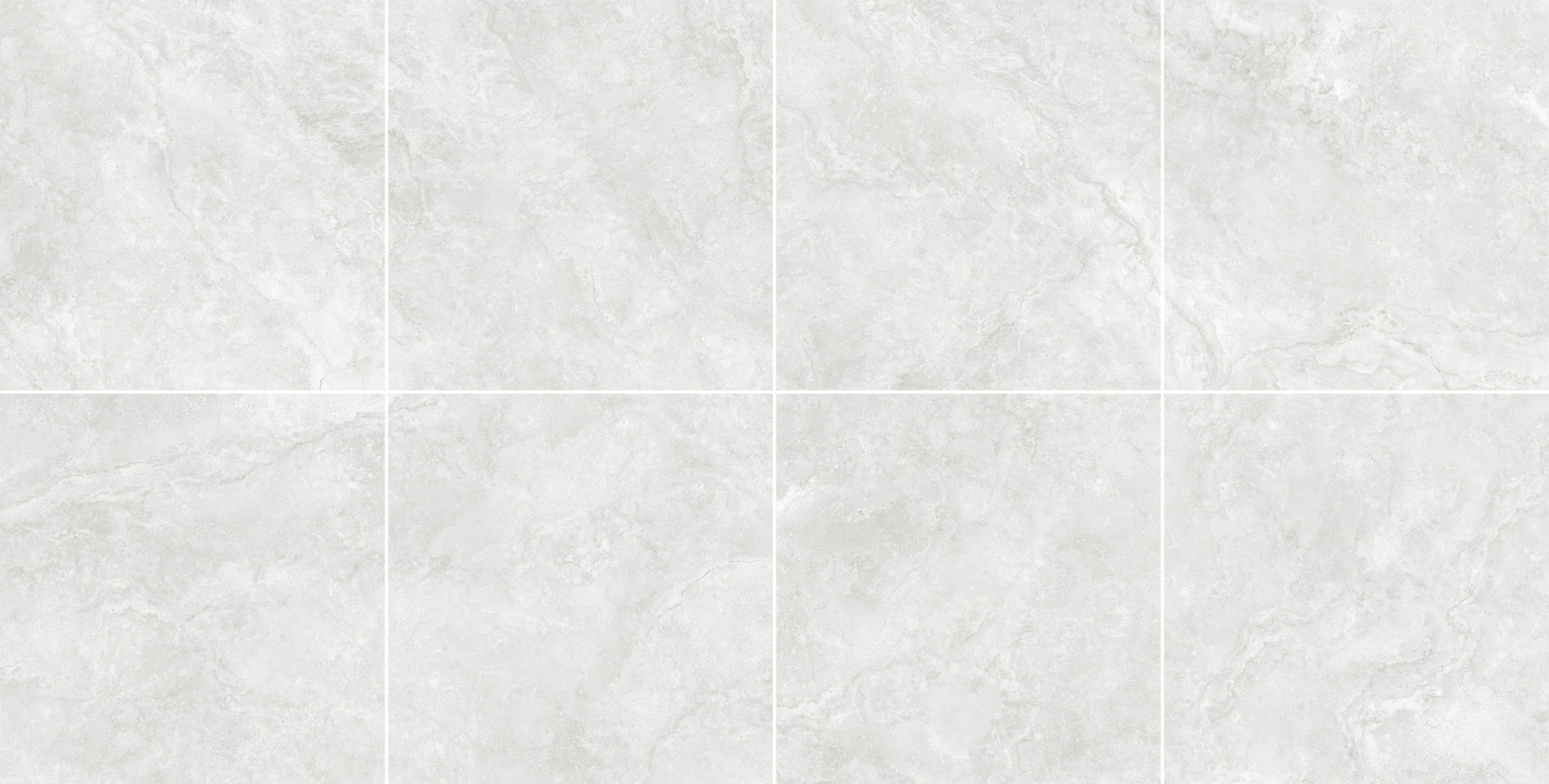 BH356 Cashmere Silver 600 x 600 Matt