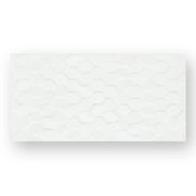 BHCS19	CHARM WHITE HEXAGON 600x300 GLOSS