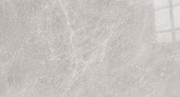 BN7026	Champagne Grey Gloss 600 x 1200