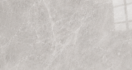 BN7026	Champagne Grey Gloss 600 x 1200