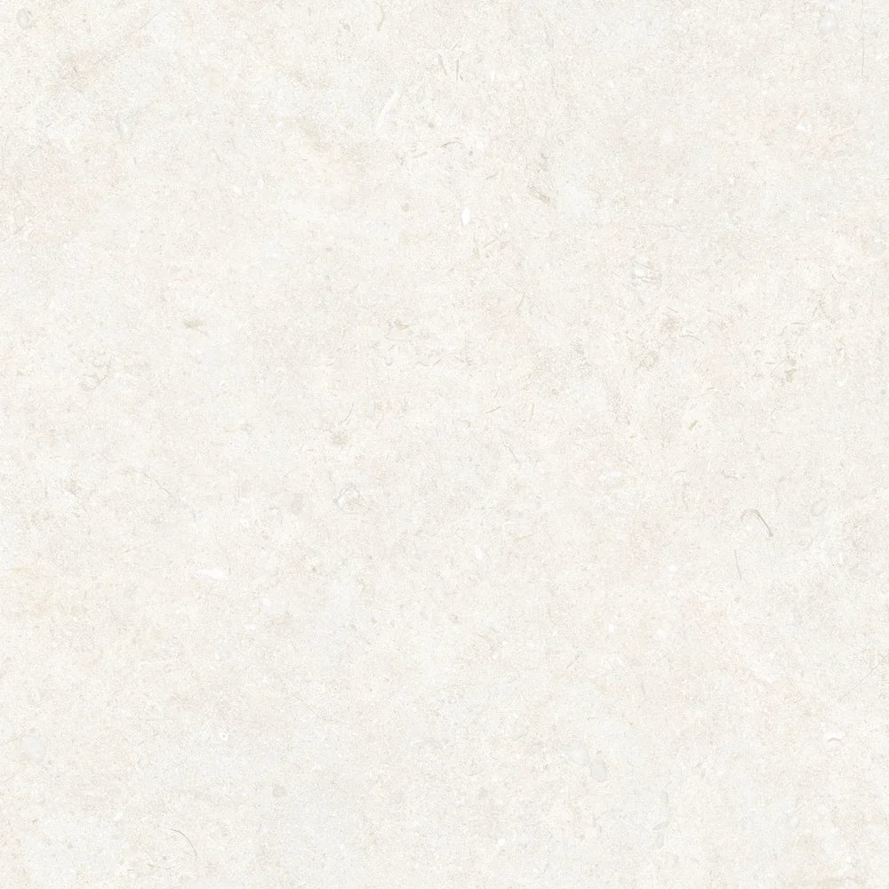 MALTESE IVORY MATT 600 x 600