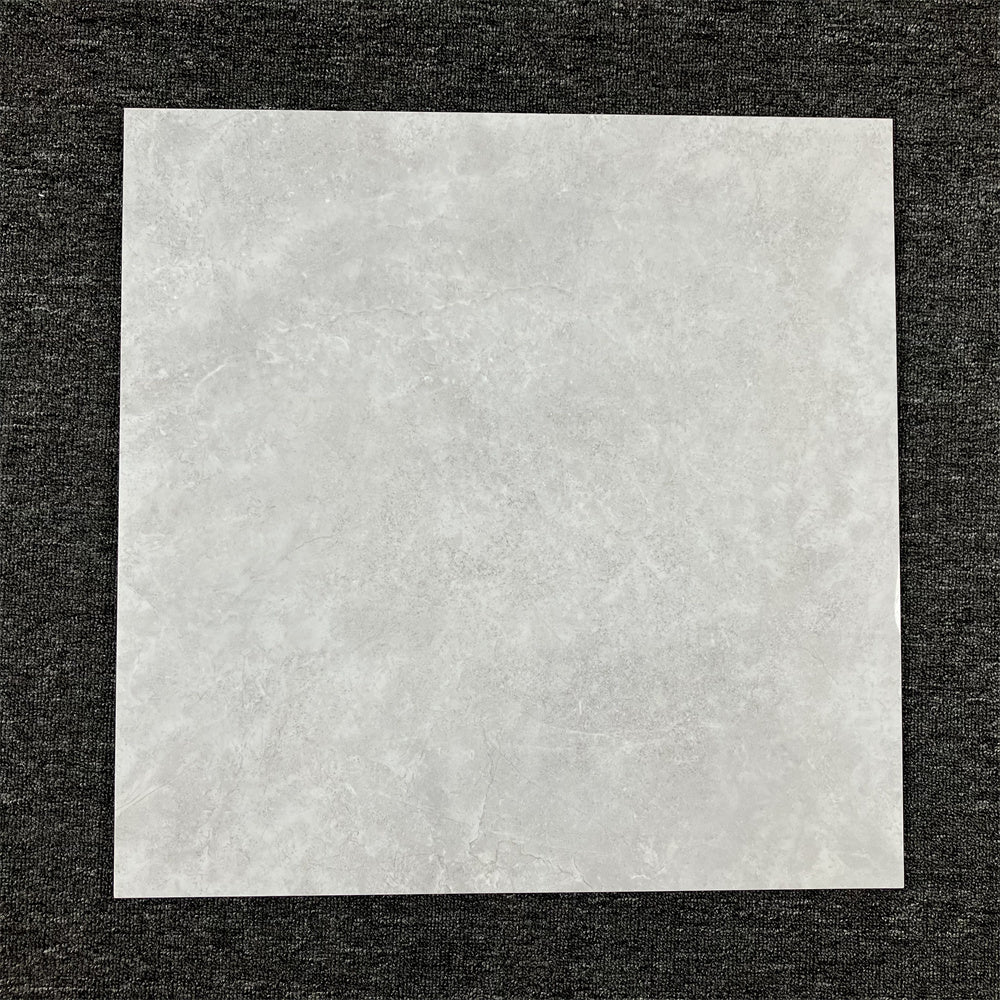 BH324 Snow grey 600 x 600 Polish