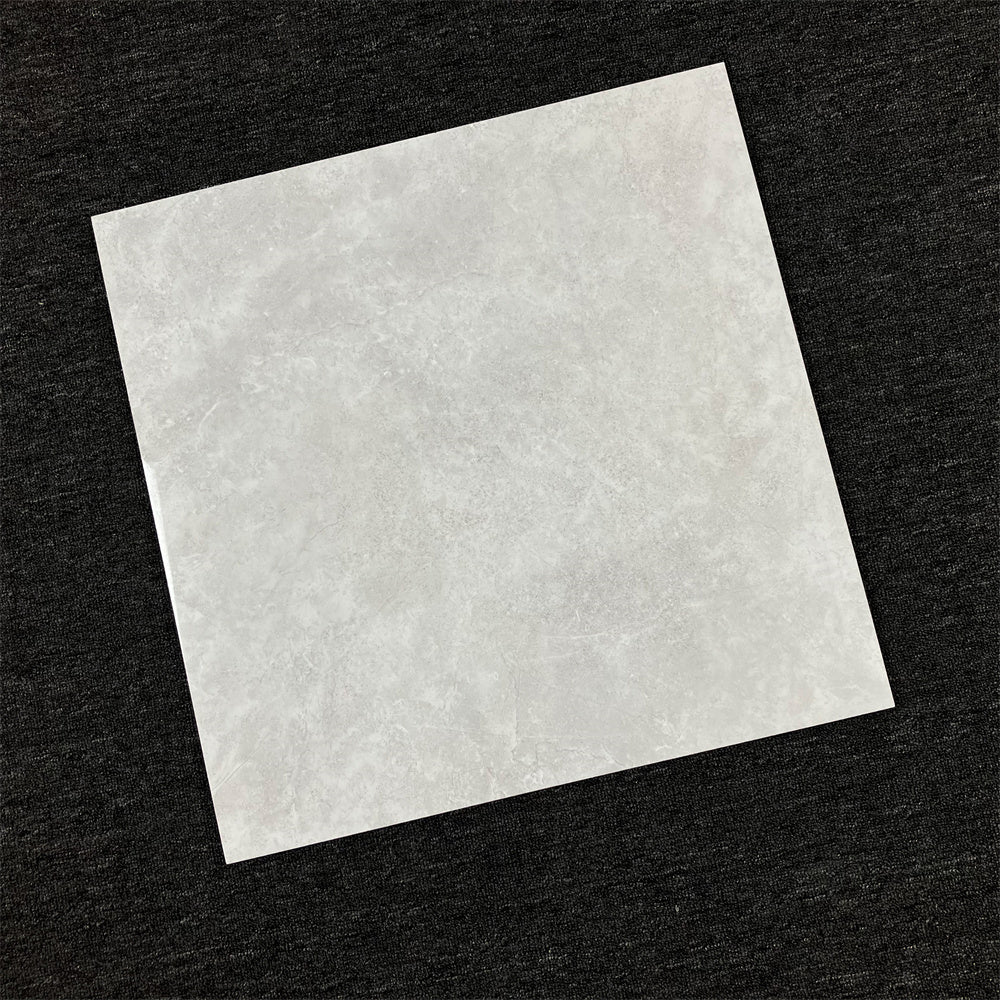 BH324 Snow grey 600 x 600 Polish
