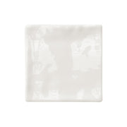 BHCS54 100x100x9 GLOSS
