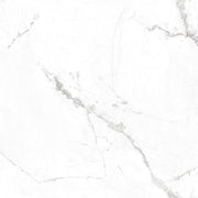 BD5010 LUXURY ALPINO 600X600 POLISHED