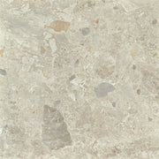 BH361 Matrix Beige 600x600 Matt