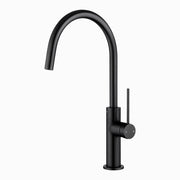 Black Standard Kitchen Mixer