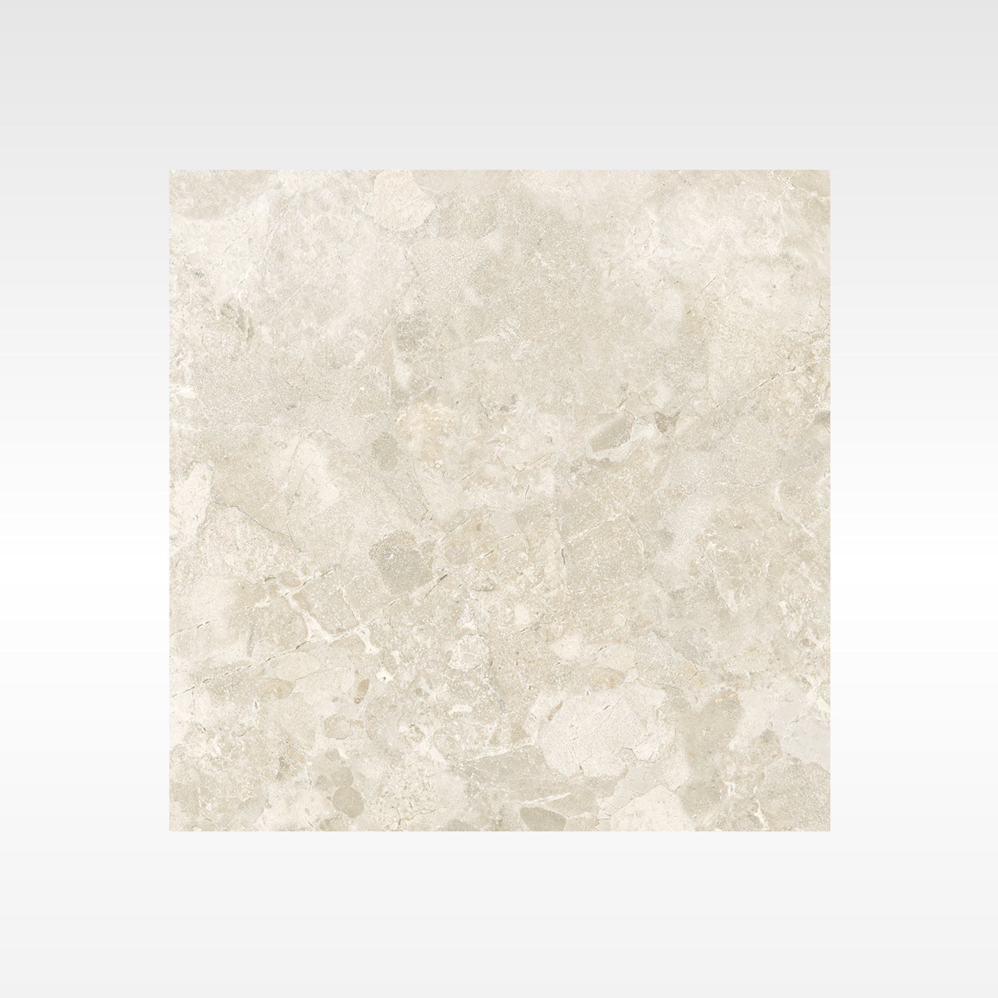 BH354 Palermo Beige 600 x 600 Soft Matt