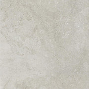 BHCS147 Scarlet Grey 600 x 600 MATT