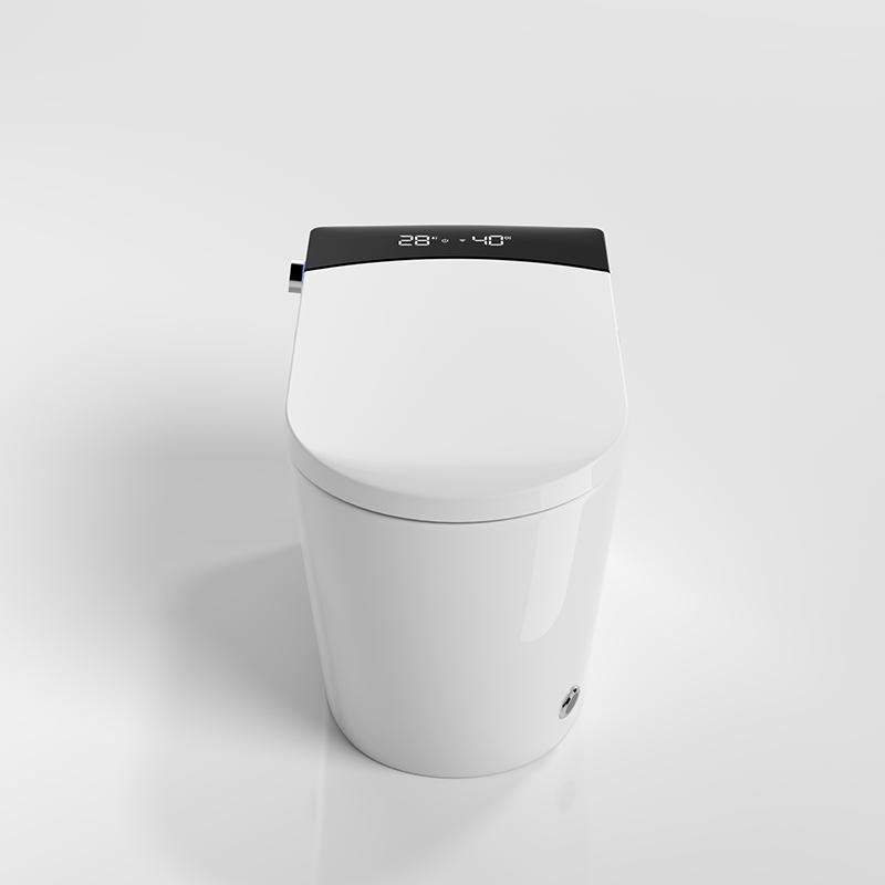 Smart Toilet T4P