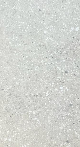 BHCN1 600X300 MATT