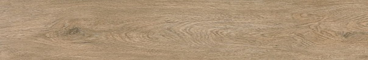 BT1169 RUSTIK ROBLE 1200X200 MATT