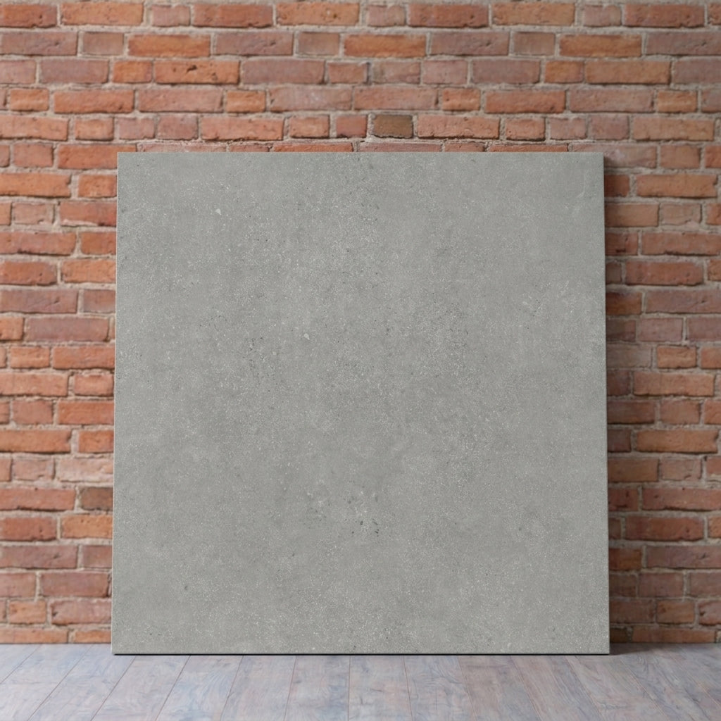 BT3421 UNIVERSAL GREY 600X600 MATT