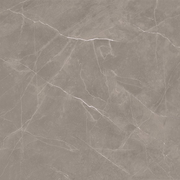 BT4021 DIOR PETRA 600X600 POLISHED