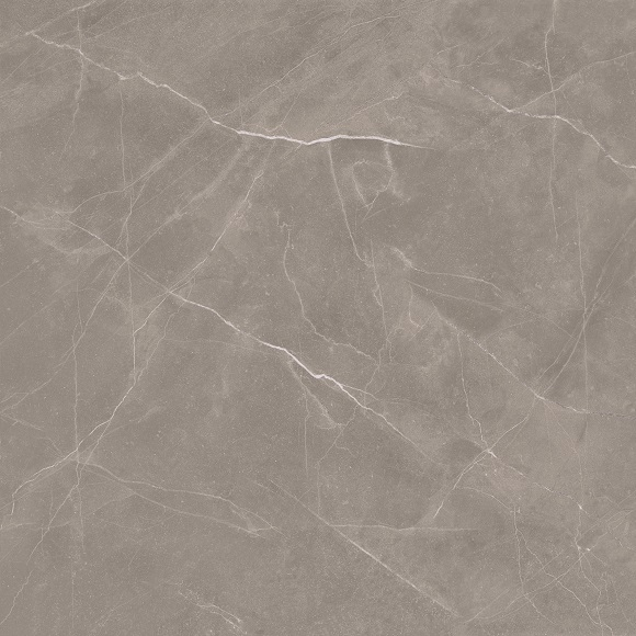 BT4021 DIOR PETRA 600X600 POLISHED
