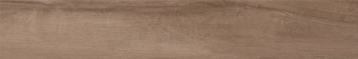 BT563 FOREST OAK	200x1200	MATT