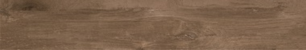 BT564 FOREST MOCHA 1200X200 MATT