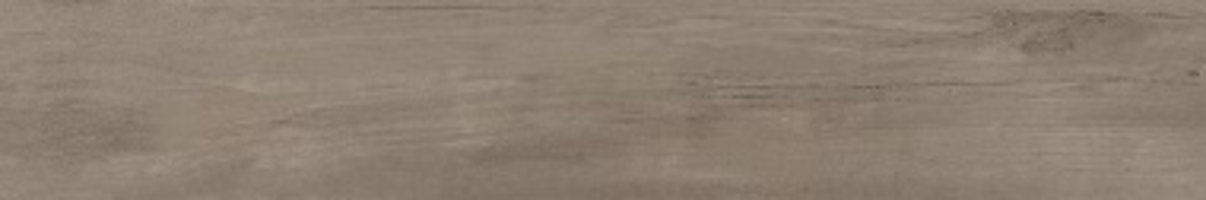 BT565 FOREST LIGHT GREY 1200X200 MATT