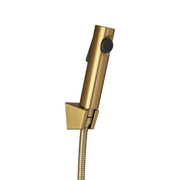 Round Brushed brass ABS Toilet Bidet Spray Kit with Stainless Steel Hose