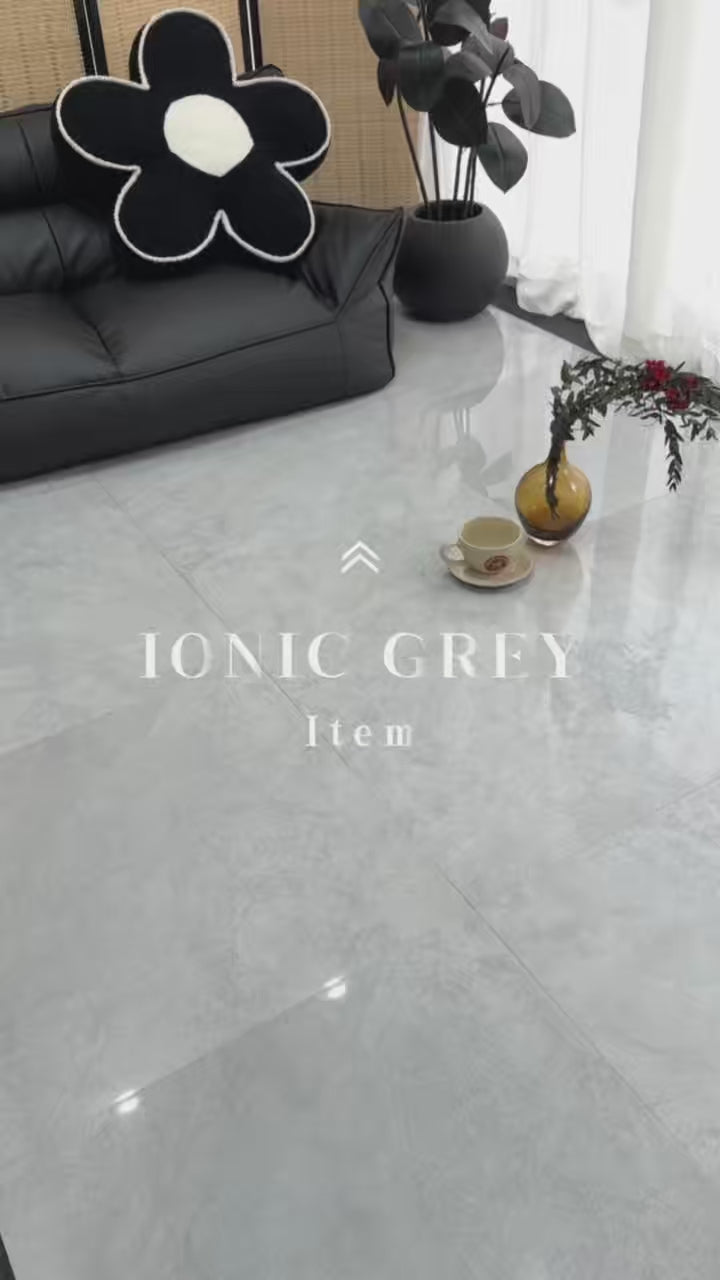 Load video: BH324 Snow grey 600 x 600 Polish