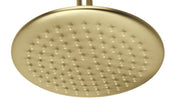 TE271 - Shower Head Brushed Brass Finish
