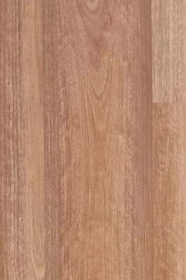 BG903 COASTAL SPOTTED GUM 9MM PREMIUM SPC HYBRID FLOORING